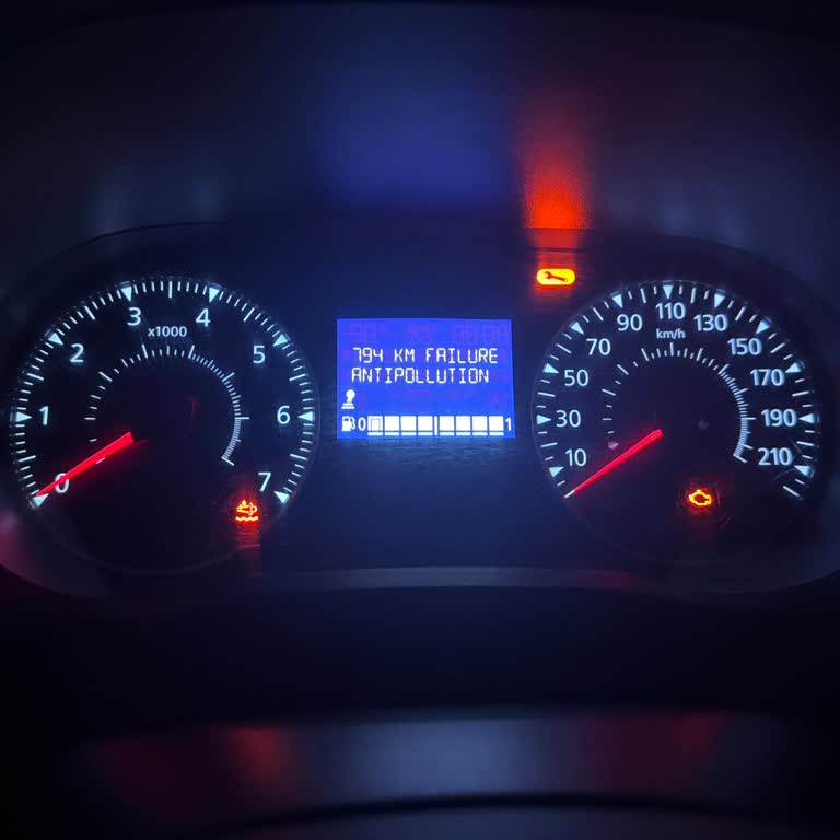 Renault Express Dil Ve AdBlue Sorunları İçin Ücretsiz Çözüm Talebi