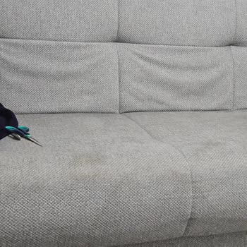 İstikbal Monroe Koltuğunda Kumaş Sararma, Yırtılma Ve Çökme Sorunu