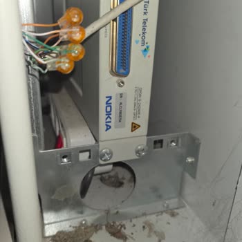 Altınova'da 1 Gbps Hız İçin Altyapı Güncelleme Talebi