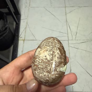 Bozulmuş Ozmo Sürpriz Yumurta Paketi Çocuk Sağlığını Tehdit Ediyor