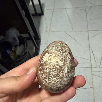Bozulmuş Ozmo Sürpriz Yumurta Paketi Çocuk Sağlığını Tehdit Ediyor