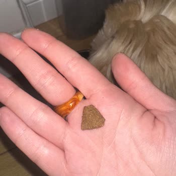 Yanıltıcı Pro Plan İddiası Ve Markasız Açık Köpek Maması Gönderimi