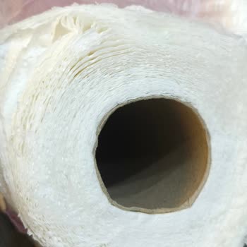 Papia Kağıt Havlunun Düşük Kalitesi Ve Emme Sorunu