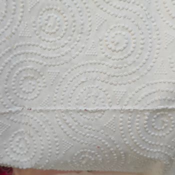 Papia Kağıt Havlunun Düşük Kalitesi Ve Emme Sorunu