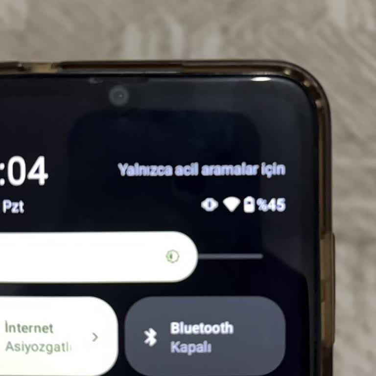 Sim Kartı Görmeme Sorunu Nedeniyle Reeder S19 Max Telefonumun Ücretsiz Onarımı Talebi