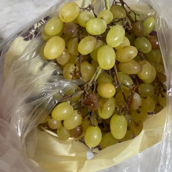Migros Hemen Siparişindeki Çürük Ve Kırık Ürünler İçin Teslimat Gecikmesi Ve İletişimsizlik
