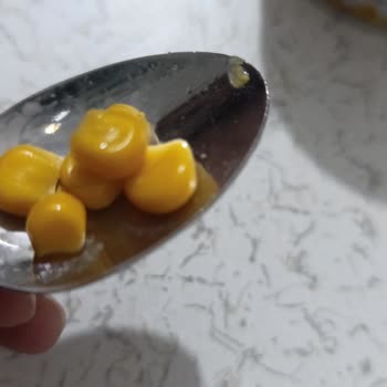 Tukaş Mısır Konservesinde Kil Parçası