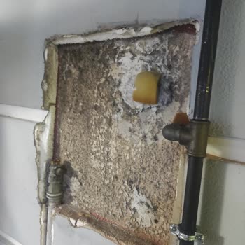 Küresel Vana Değişimi İçin Gaz Kesilmemesi Ve Uzun Süreli Mağduriyet