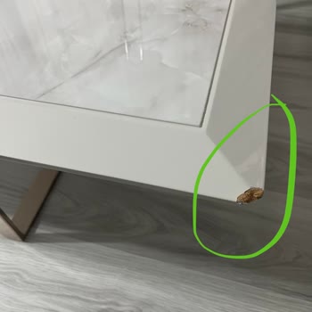 4 Ay Gecikmeli Teslimat Ve Kırık, Lekeli Mobilyalar İçin Hızlı Çözüm Talebi