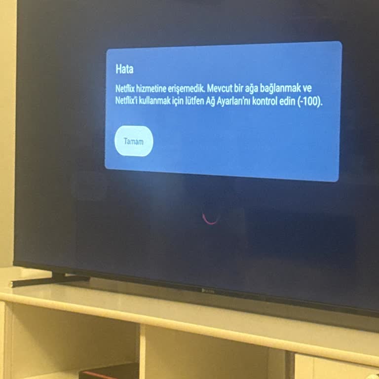 Netflix Bağlantı Hatası Ve Çözüm Bekleyen Servis Süreci