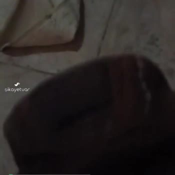 D’S Damat Ayakkabı Ayağıma Kalıba Da Girse Olmadı!