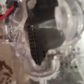 Pirantech Dik Süpürge Kırılması