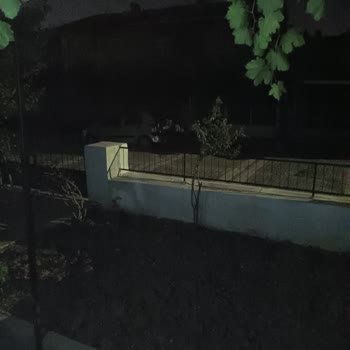 Balıkesir Altıeylül'de Karanlık Sokakta Aydınlatma Arızası Ve Yaşlılar İçin Tehlike