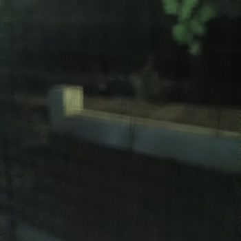 Balıkesir Altıeylül'de Karanlık Sokakta Aydınlatma Arızası Ve Yaşlılar İçin Tehlike