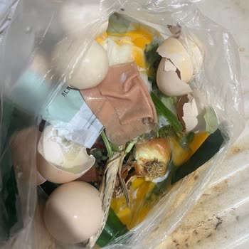 A101 Mağazasından Son Tüketim Tarihine Yakın Bozuk Gordo Yumurta İçin Değişim Talebi