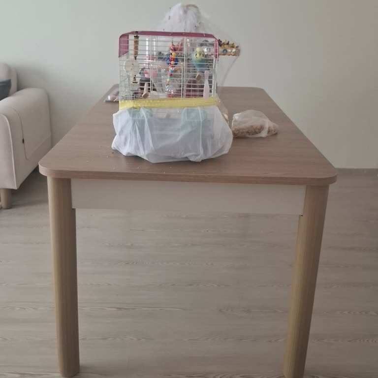 Üç Ay Geciken Sandalye Teslimatı Müşteriyi Mağdur Ediyor