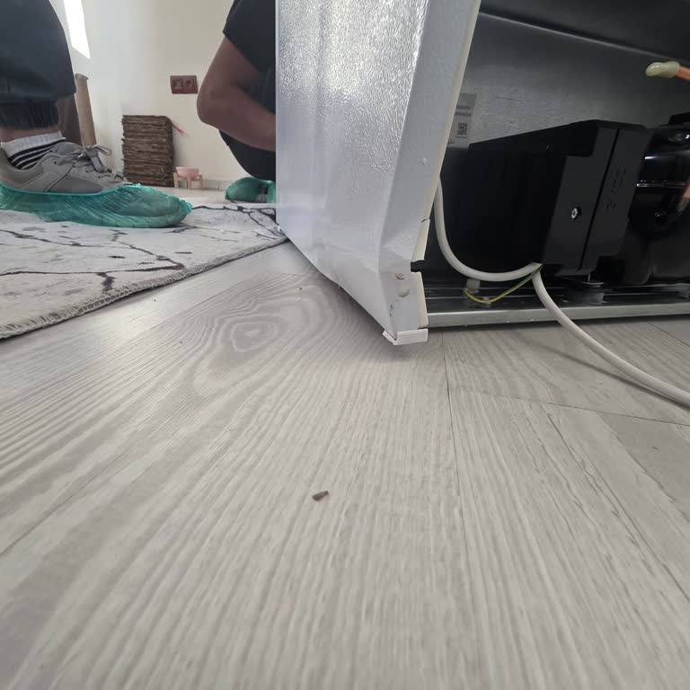 Samsung'dan Hasarlı Derin Dondurucu İade Talebi: Yanıtsız Müşteri Hizmetleri