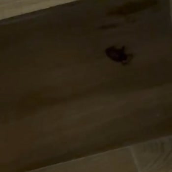 Isıtmalı Havuz Çalışmadı, Söz Verilen Hizmetler Tamamen Eksik