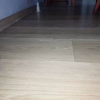 Radyatör Kaçağı Ve Uzun Değişim Süreci Sonucu Parke Hasarı