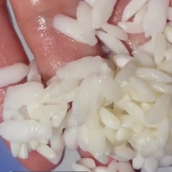 Yayla Osmancık Pirinç Şişti Dağılıyor!