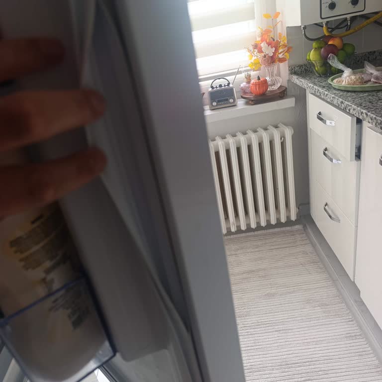 Profilo Buzdolabının Kapak Lastiğinin Erken Yırtılması Ve Ücretsiz Değişim Talebi
