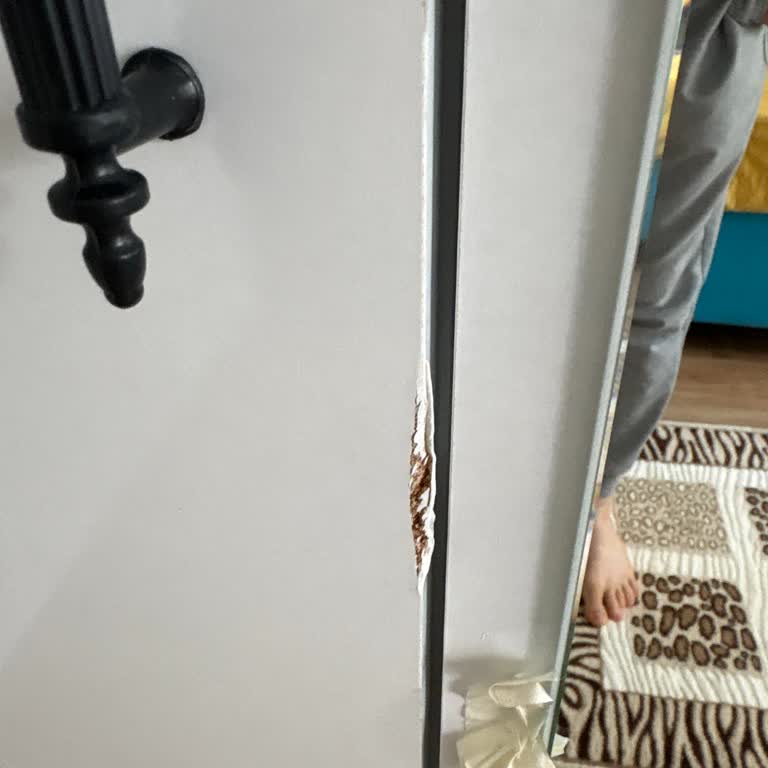 Hasarlı Gardırop Teslimatı Ve Verilen Değişim Sözünün Tutulmaması