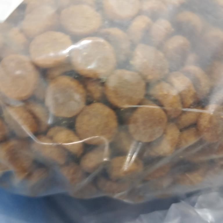 Hill's Kedi Mamasının Şekil Değişiklikleri Kedileri Beslemede Zorluk Yaratıyor