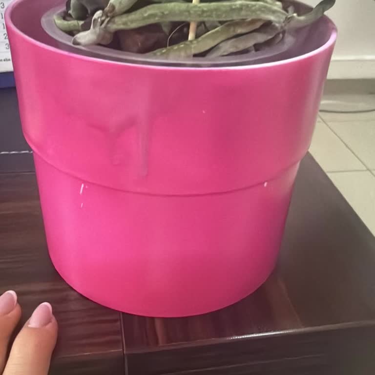 Sipariş Edilen Pembe Beton Saksı Zamanında Ve Doğru Şekilde Gönderilmedi