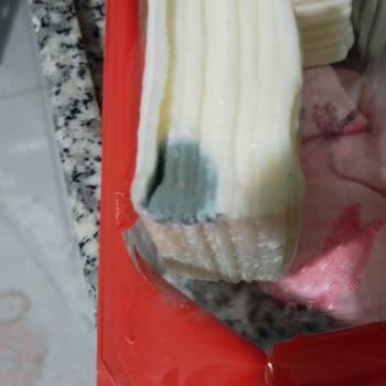 Küflü Kaşar, Fişsiz İade Reddi Ve Çöp Kutusuna Karıştırma Zorunluluğu