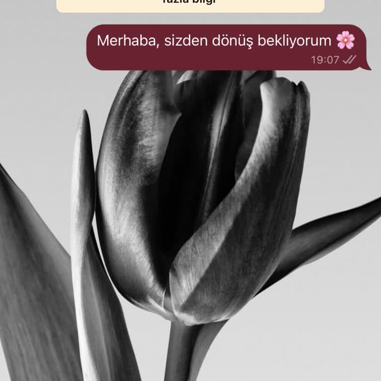 Enform Pilates Studio Multisport Kartlı Müşterilere Yanıt Vermeyen Pilates Stüdyosu