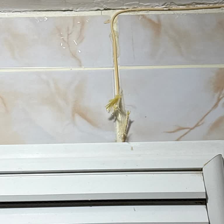 Kopan Kablo Ve Cevapsız Teknik Servis Nedeniyle Bir Aylık İnternet Mağduriyeti