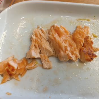 Çiğ Somon Servisi Gıda Zehirlenmesi Riski Taşıyor