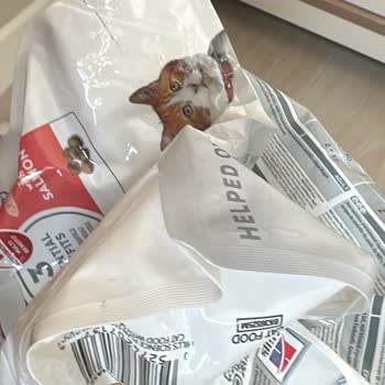 Hasarlı Kargo Ve Yetersiz Telafi Teklifi
