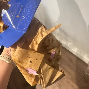 Çiçek Siparişi Teslimatında Yaşanan Sorun ve İade Talebi