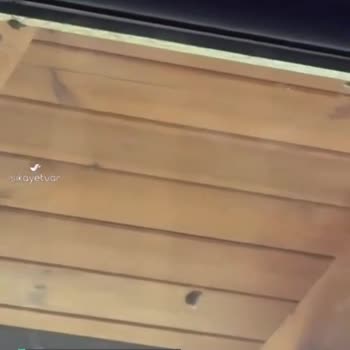 Sapanca Bungalov Seyahat Ciddi Tahtakurusu İstilası Ve Yanıltıcı Bilgi