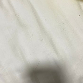 Ankara Berlitz Hotel Room Had Hair on Bed Linens and Surfaces