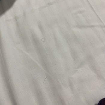Ankara Berlitz Hotel Room Had Hair on Bed Linens and Surfaces