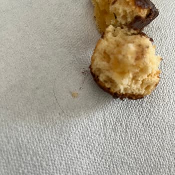 Muzlu Popkek İçinde Kıl Bulunması Hijyen Ve Güven Sorunu