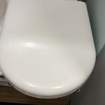 Ücretsiz Değişim Bekliyorum: Vitra Klozet Kapağının Dayanıksız Plastik Menteşesi