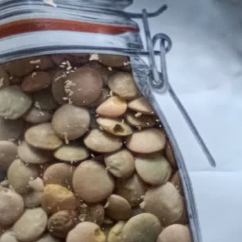 Migros’ta Böcekli Mercimek Sorunu Hijyen Ve Güvenliği Tehdit Ediyor