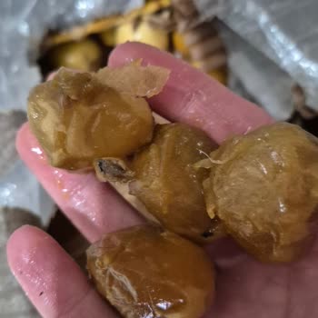 Bozuk Ve Çürük Hurma, İade Talebim Reddedildi