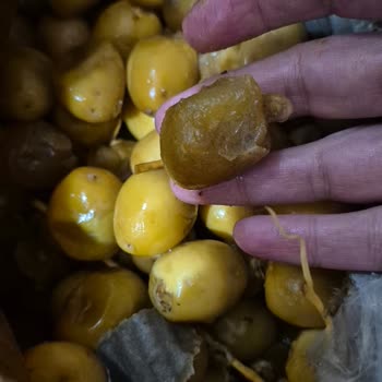 Bozuk Ve Çürük Hurma, İade Talebim Reddedildi
