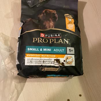 Patlak Ve Karınca Dolu Köpek Maması Teslimatı Satıcıdan İade Teklifi Yetersiz