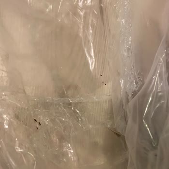 Patlak Ve Karınca Dolu Köpek Maması Teslimatı Satıcıdan İade Teklifi Yetersiz