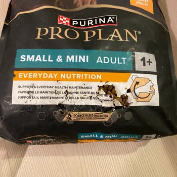 Patlak Ve Karınca Dolu Köpek Maması Teslimatı Satıcıdan İade Teklifi Yetersiz