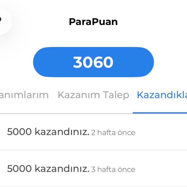 100 TL Ödememin Gecikmesi Ve Çözüm Bulamayan Destek Hattı