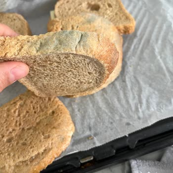 Tarih Geçmemiş Olmasına Rağmen Küflü Ekmek Satışı Ve Çözüm Bulamayan Mağaza Müdürü