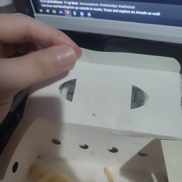 Patates Kızartmasında Saç Bulunması Hijyen Sorunu Ve Tam İade Talebi