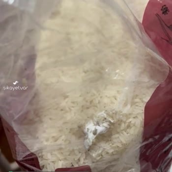 Rekolte 5 Kg'lik Pirincin Kurtlanması