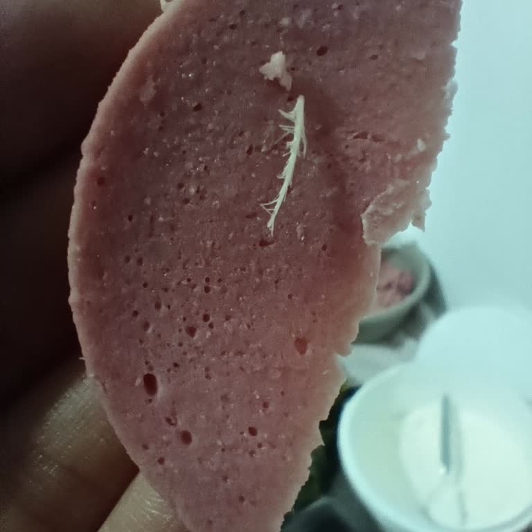 Pınar Catering Piliç Salamda Yabancı Tüy Parçası Tespit Edildi